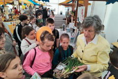 kmetijski_sejem_2024_25_0011