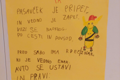 Pasavcek_2024_25_0013